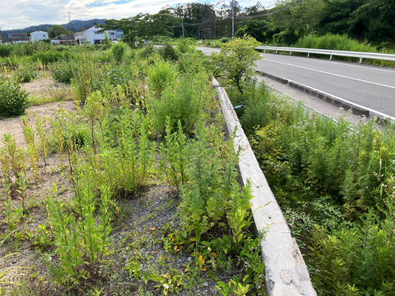 写真:E415【売地】双葉郡大熊町夫沢字中央台8