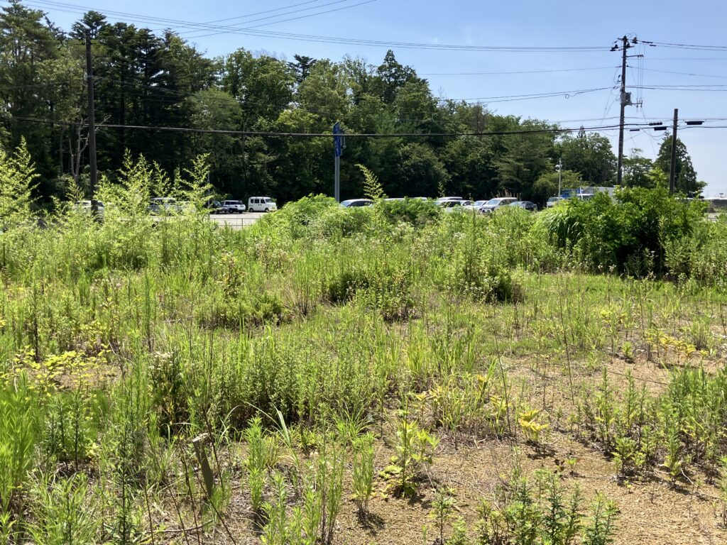 写真:＃E613【売地】大熊町下野上字大野3