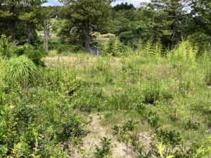 サムネイル:＃E613【売地】大熊町下野上字大野4
