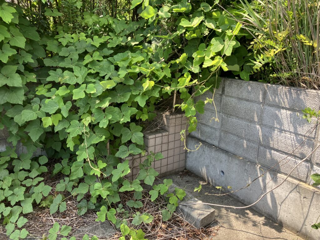 写真:＃E638【売地】大熊町下野上字北向・中央台6