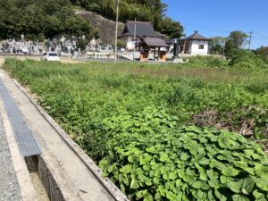 サムネイル:＃E639【売地】双葉町新山字根小屋2