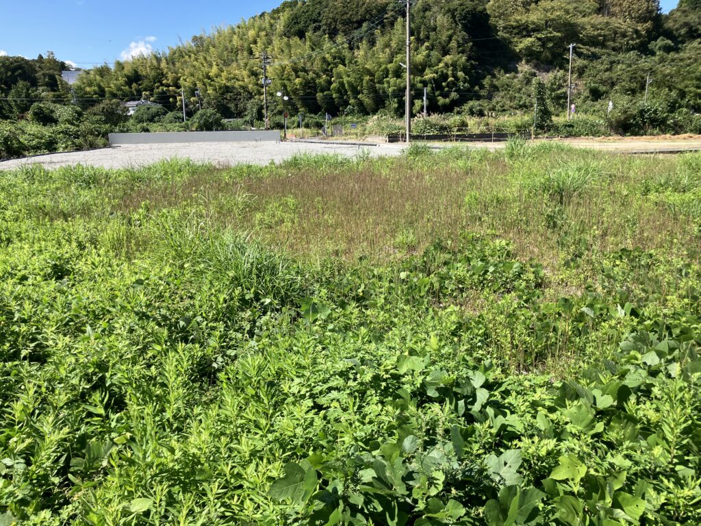 写真:＃E639【売地】双葉町新山字根小屋1